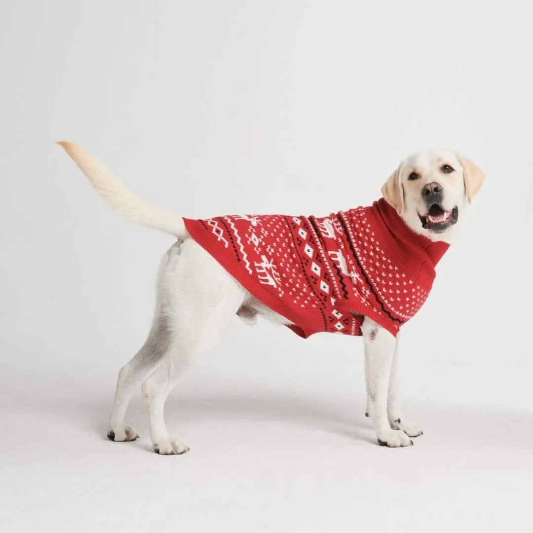 Christmas Dog Knit Sweater